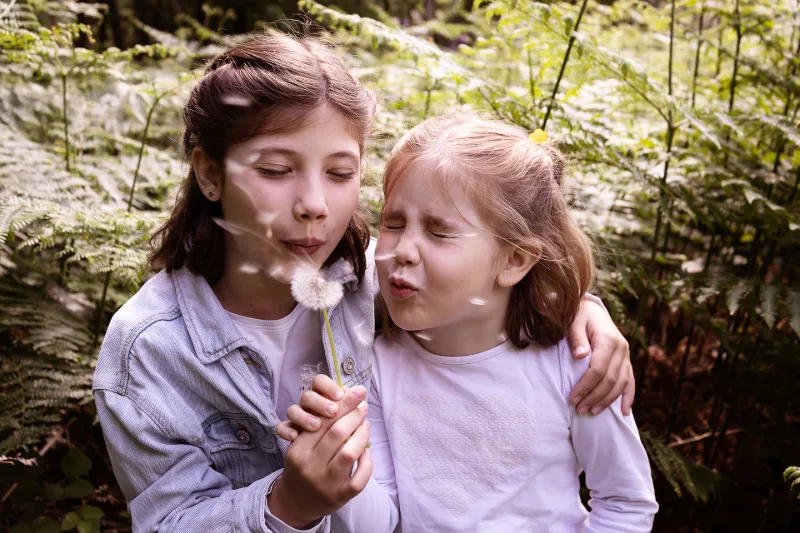 Two sisters in a fern forest blowing the seeds from a dandelion together