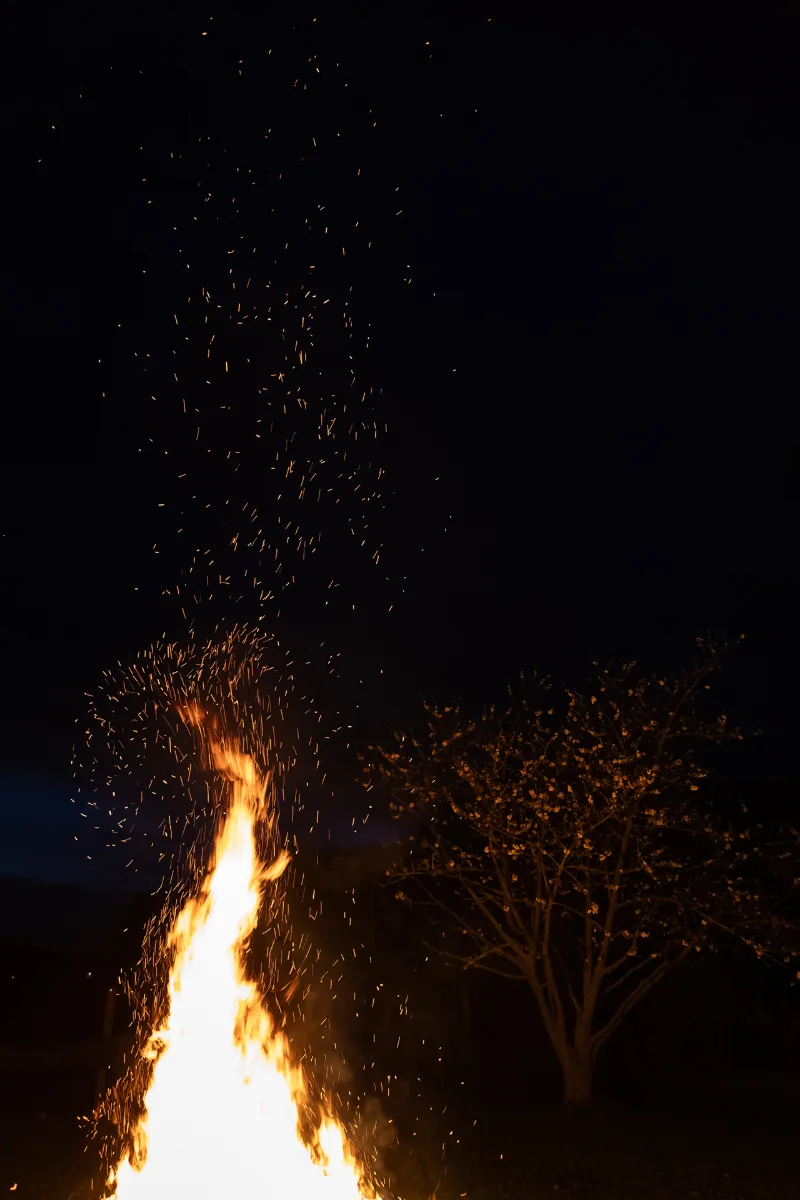 A tall flame throwing sparks into the night, a blossoming tree alongside