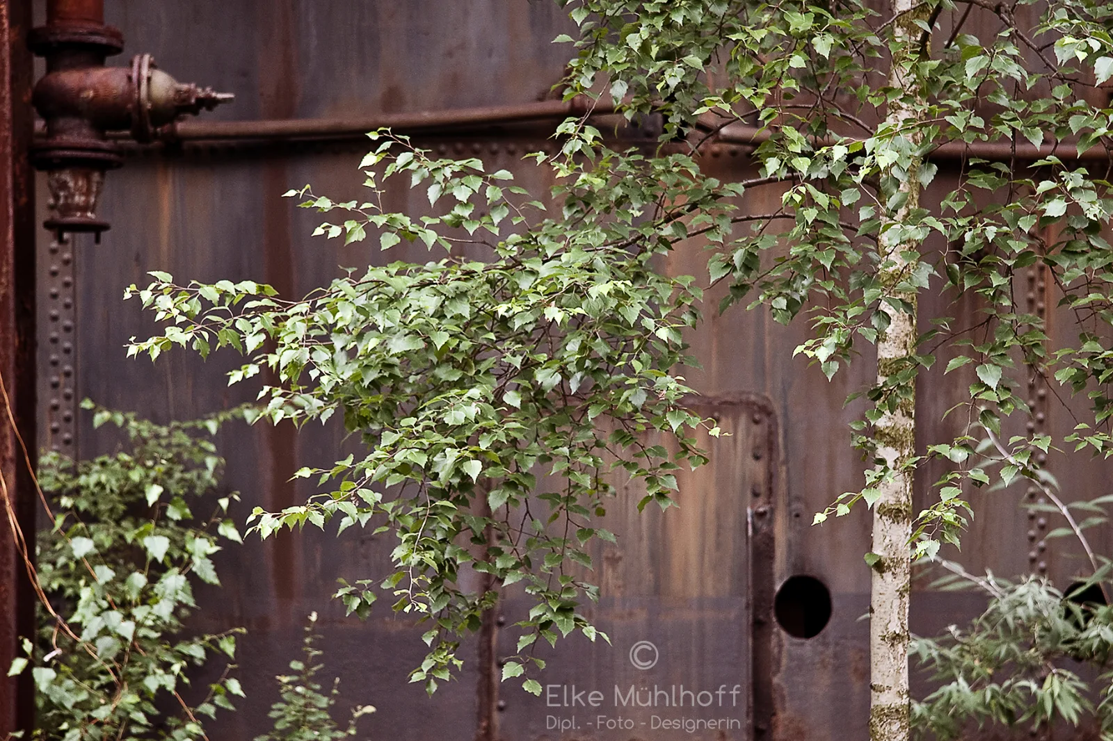 Freie Arbeit von Elke Mühlhoff — 7