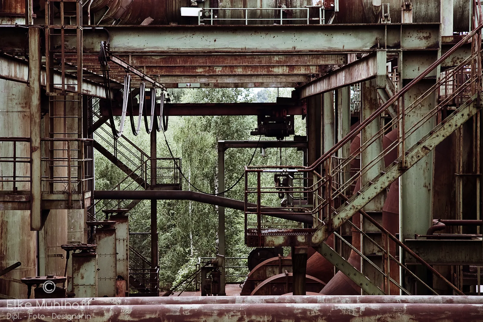 Landschafts-/Stillleben-Aufnahme von Elke Mühlhoff — 9